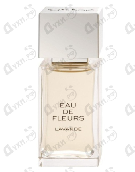 eau de fleurs lavande chloe